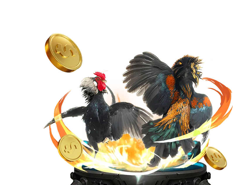 Đa dạng kèo cược đá gà ff168